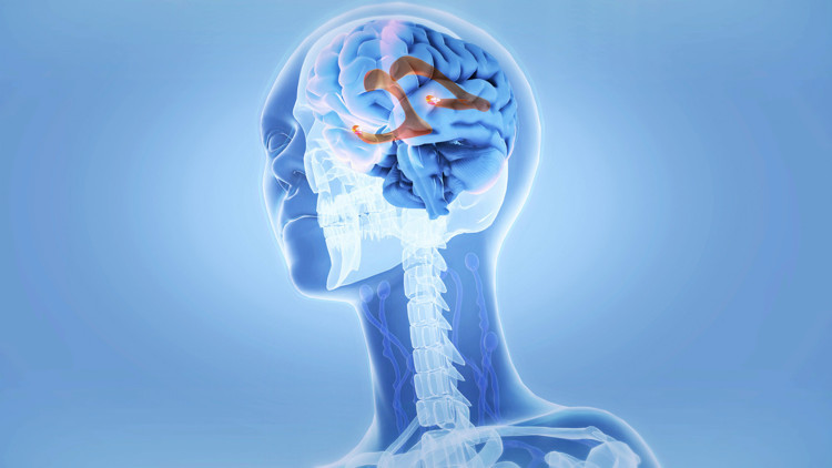 Steve Jobs ve Mark Zuckerberg de böyle yapıyordu… Bilim insanları beyin gücünü artırmanın en basit yolunu açıkladı