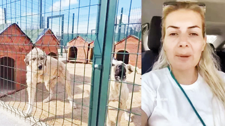 Mahkemeden jet karar 1 günde iddianame 1 günde ret kararı Mahkemeden jet karar 1 günde iddianame 1 günde ret kararı