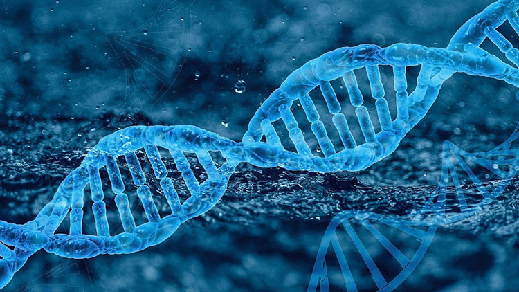 Bazı kişilerin neden Kovide yakalanmadığı açığa çıktı Bazı kişilerin neden Kovide yakalanmadığı açığa çıktı