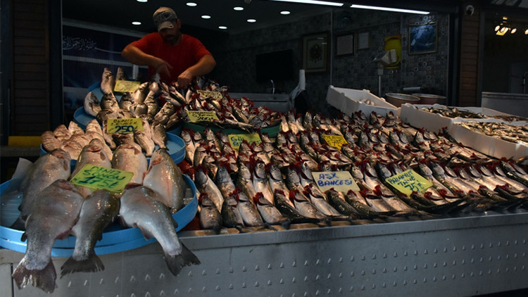 Palamut tezgahları süsledi, fiyatlar yarıya düştü Palamut tezgahları süsledi, fiyatlar yarıya düştü