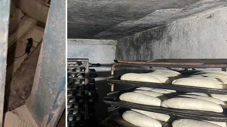 Kırşehirde fırında mide bulandıran görüntü