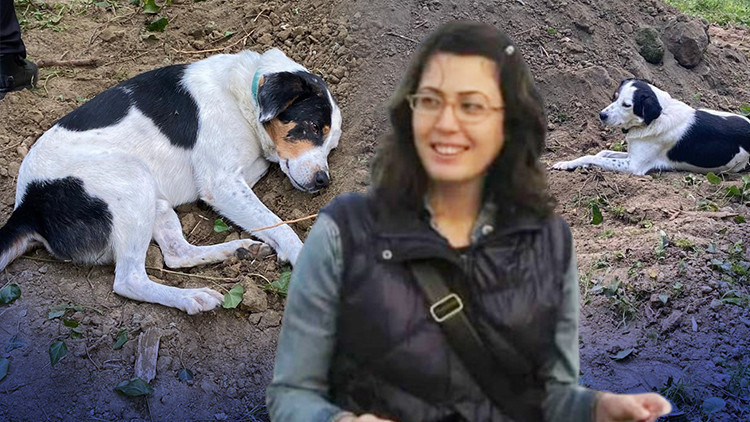 Köpeğin vefası yürekleri dağladı: Ölen sahibinin mezarı başından ...