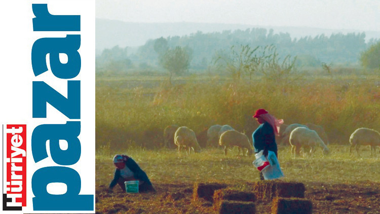 ‘İklim krizi olmadığının iddia edilmesi yerçekimi yok demekle aynı şey’ ‘İklim krizi olmadığının iddia edilmesi yerçekimi yok demekle aynı şey’