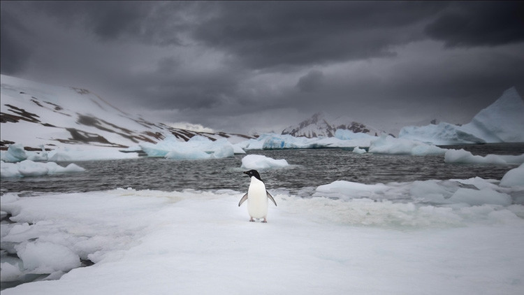 Antarktikanın sırrı çözülüyor: Bilim insanlarından 90 milyon yıllık keşif Antarktikanın sırrı çözülüyor: Bilim insanlarından 90 milyon yıllık keşif