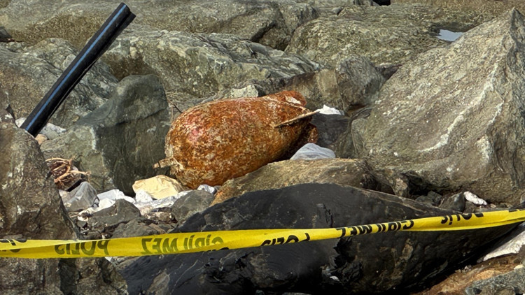 Rize sahilde patlamamış mühimmat bulundu... Polis ekipleri, güvenlik önlemi aldı Rize sahilde patlamamış mühimmat bulundu... Polis ekipleri, güvenlik önlemi aldı