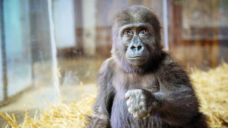 Bakanlık sordu: Adı ne olsun Bakanlık sordu: Adı ne olsun