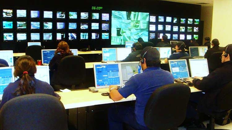 Galler acil servisine gelen ilginç çağrılar: “Timsahım Kaçtı”
