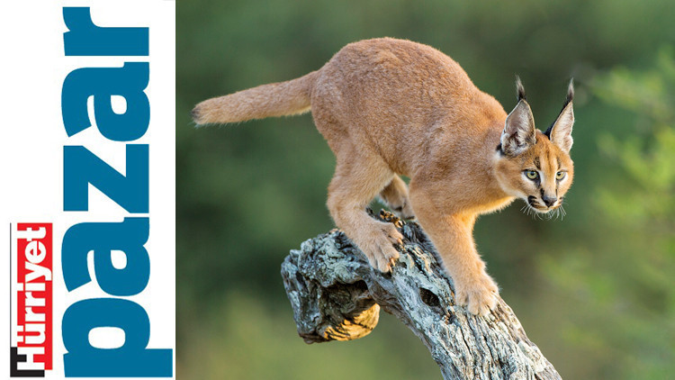 Değerleri parayla ölçülemez ama...