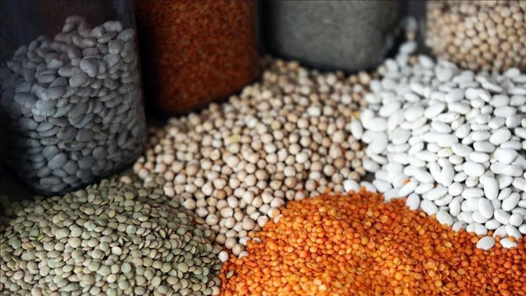 Afrika ülkelerinde Türk ürünlerine büyük ilgi