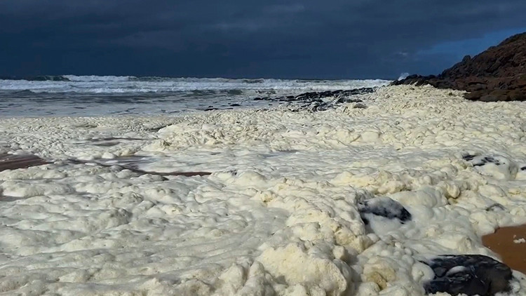 Avustralyada beyaz köpük alarmı: Balıklar öldü plajlar kapandı
