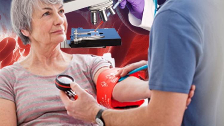 Uzun yaşayanların kanında ne var Kaderimiz tamamen genlerimize mi bağlı