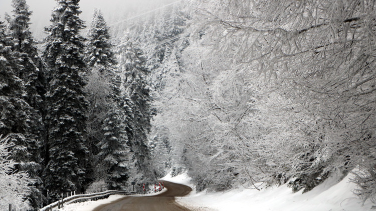 Bolunun yayla ve ormanlarında kar güzelliği