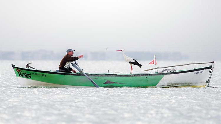 Yaren leyleğin fotoğrafına Avrupa’dan ödül
