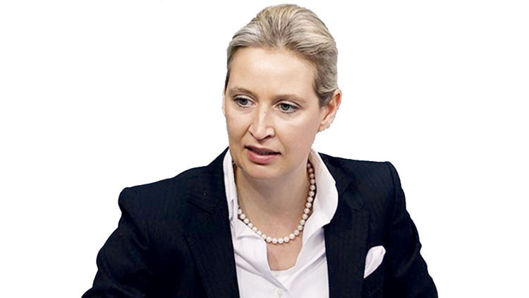 AfD: Bizsiz yapamazsınız AfD: Bizsiz yapamazsınız