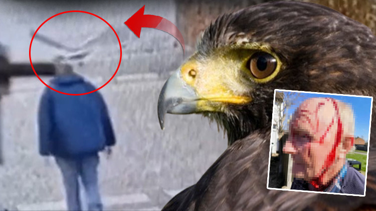 Köydekilere kâbusu yaşattı 50’den fazla kişiye saldırdı… Bir kahraman, bu gizemli olayın ardındaki sırrı çözdü