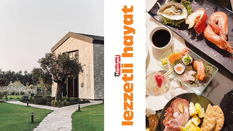 Gastronomi kazanında kaynayanlar