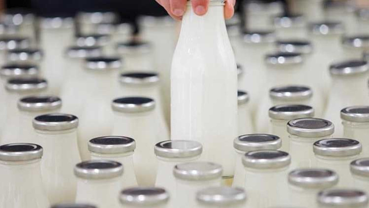 İngiltere, AB’den et ve süt ürünleri ithalatını yasakladı