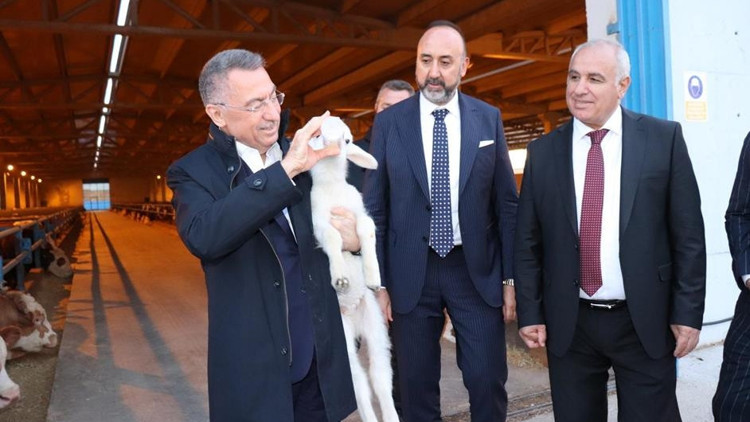 Oktay’dan hayvancılığın üssüne ziyaret... ‘Üreticinin yanındayız’ Oktay’dan hayvancılığın üssüne ziyaret... ‘Üreticinin yanındayız’