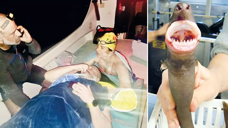 Pasifik’te ‘dişli’ mücadele... Köpekbalığı saldırısına uğrayan Türk yüzücüler o anları Hürriyet’e anlattı Pasifik’te ‘dişli’ mücadele... Köpekbalığı saldırısına uğrayan Türk yüzücüler o anları Hürriyet’e anlattı