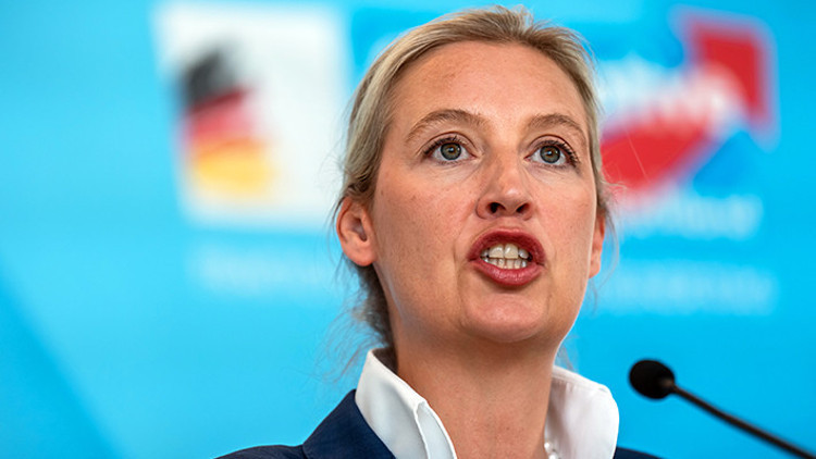 AfD’ye çıkış şoku AfD’ye çıkış şoku