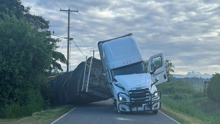 アメリカで蜂の警報 トラックが横転：数百万匹が解放された