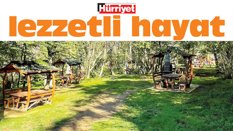 En iyi 10 piknik alanı: Şehirden çıkmadan doğayla buluşmanın en güzel hali