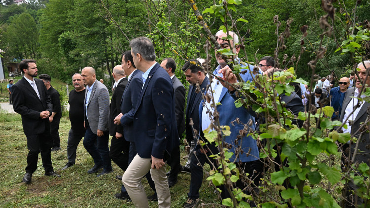 TBMM Komisyonu, Düzce ve Sakaryada zirai dondan etkilenen bahçeleri inceledi
