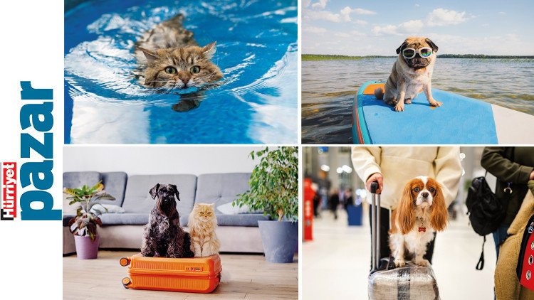 Anca beraber kanca beraber mi