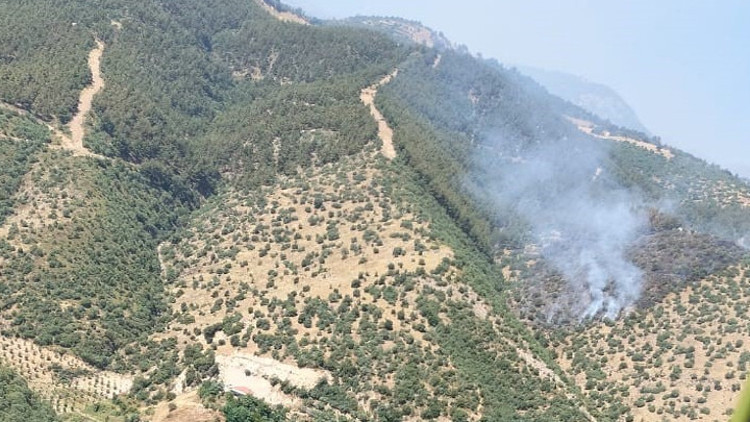 Manisada korkutan orman yangını