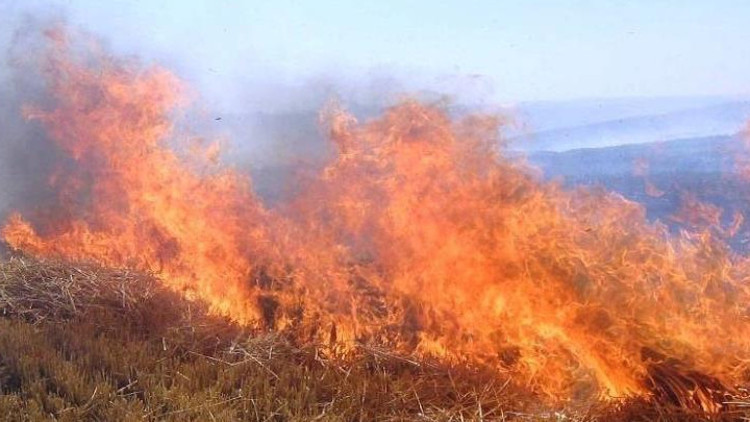 Meteorolojiden orman yangını uyarısı