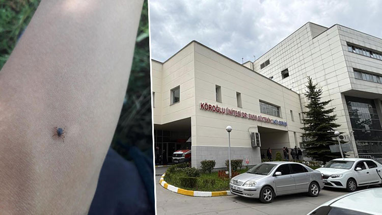 Bir kene vakası daha: 77 yaşındaki kadın hayatını kaybetti