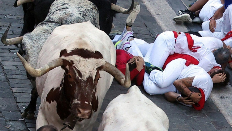 Geleneksel festivalde 8 yaralı