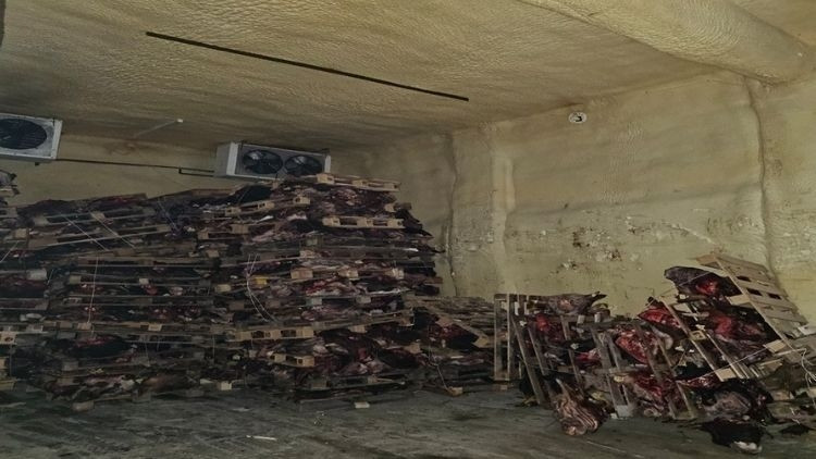 Mide bulandıran görüntü Piyasaya sürülmek üzere çürümüş hayvan kafaları bulundu