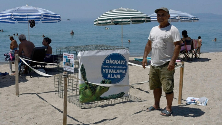 Kuşadası’nda yılın ilk caretta caretta yuvası tespit edildi