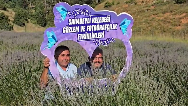 Saimbeyli Kelebeği Gözlem ve Fotoğrafçılık Haftası ilgi gördü