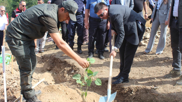 Düziçi’nde 15 Temmuz Şehitleri Hatıra Ormanı’na fidan dikildi