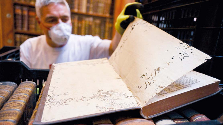 100 bin el yazması kitap tehlikede… Böcek alarmı