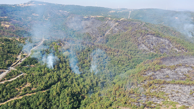 Balıkesirdeki orman yangını 29 saat sonra kontrol altına alındı