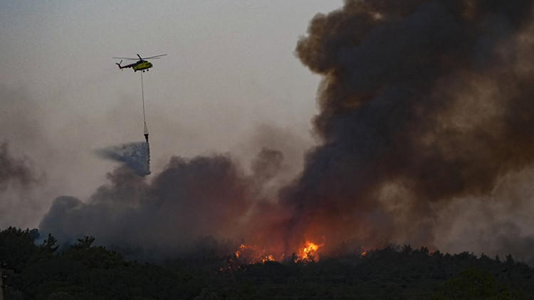 Bakan Yerlikayadan orman yangınlarına ilişkin açıklama: 23 şüpheli gözaltına alındı Bakan Yerlikayadan orman yangınlarına ilişkin açıklama: 23 şüpheli gözaltına alındı
