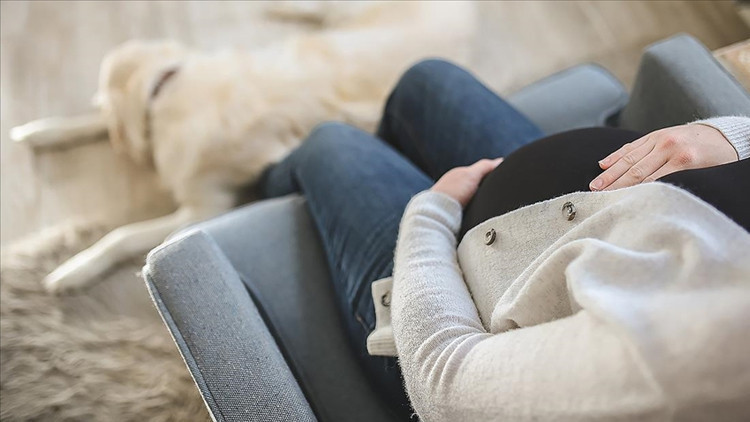 ABDde doğurganlık oranı 2024te tarihin en düşük seviyesine geriledi ABDde doğurganlık oranı 2024te tarihin en düşük seviyesine geriledi