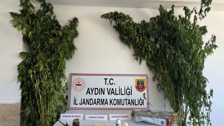 Evinde Hint keneviri ve esrarla yakalanıp gözaltına alındı