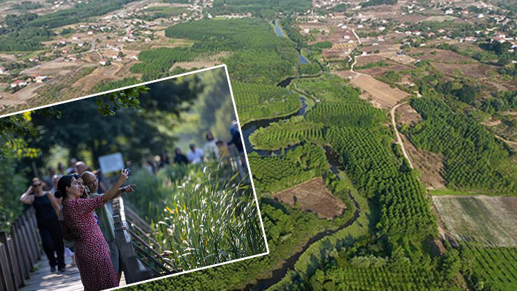 Tek parça olmasıyla dikkat çekiyor Burası dünyada ikinci Türkiyede tek | Longoz tarif edilemez, yaşanır