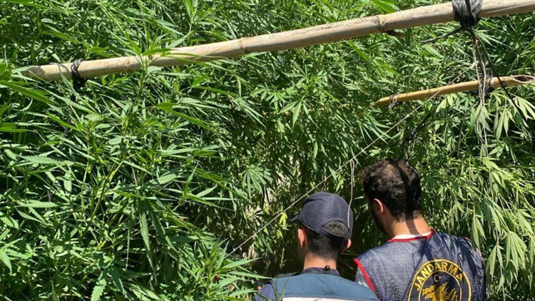 Evinde uyuşturucuyla yakalanıp, gözaltına alındı