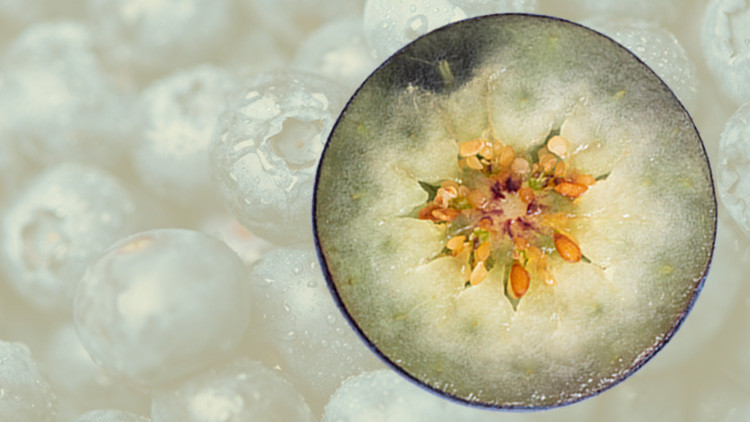 Bugün tek bir meyve yiyecekseniz, bu olsun Meyve tüketimi çok önemli Peki en faydalı meyve hangisi