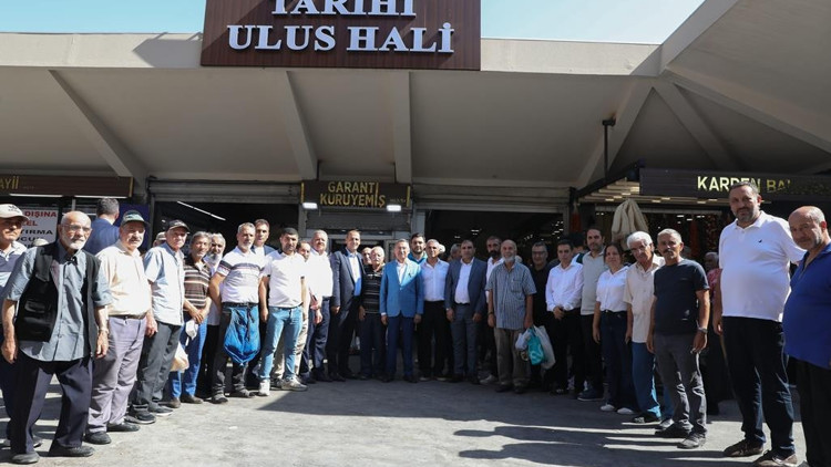 Hal turu
