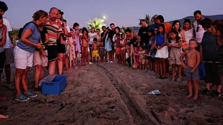 Kuşadası’nda caretta caretta yavruları denizle buluştu