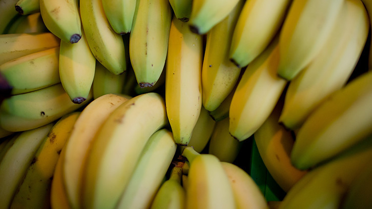 Süpermarkette zehirli örümcek paniği