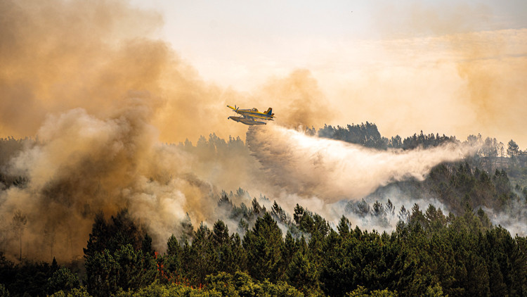 İklim krizi yüzünden yangınlar 40 kat arttı İklim krizi yüzünden yangınlar 40 kat arttı