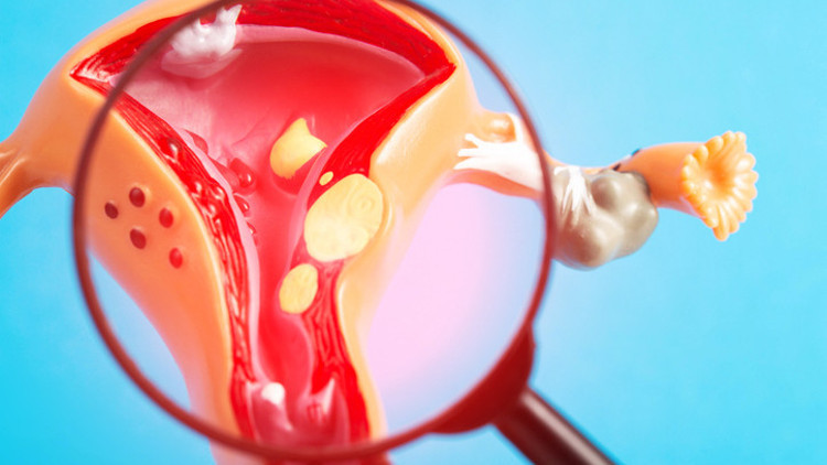 Hayat kurtaran 9 soru! Kadınlar en çok bunları merak ediyor