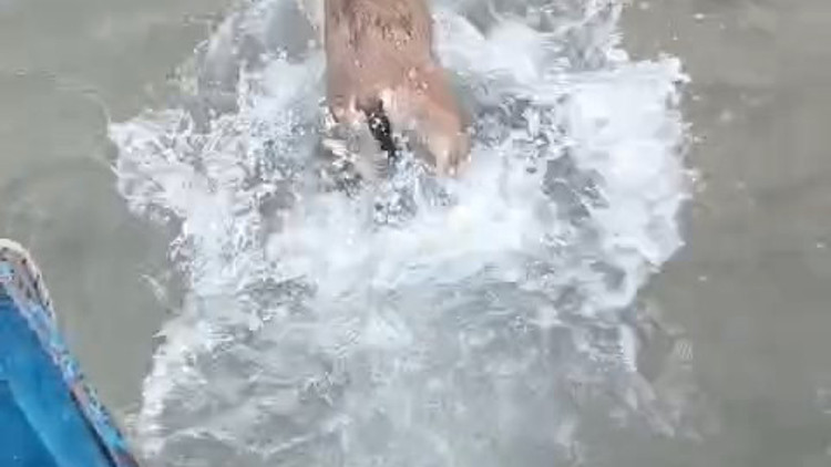 Baraj gölüne düşen dağ keçisini balıkçılar kurtardı; o anlar kamerada Baraj gölüne düşen dağ keçisini balıkçılar kurtardı; o anlar kamerada